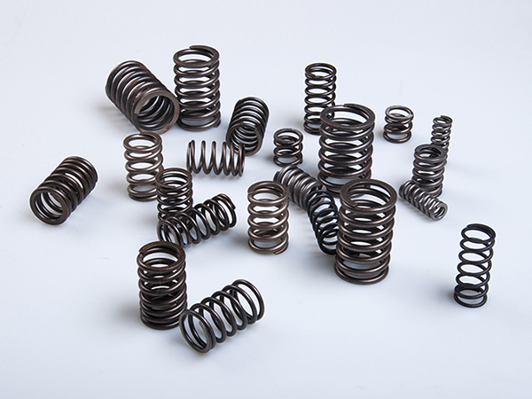 Valve Spring
